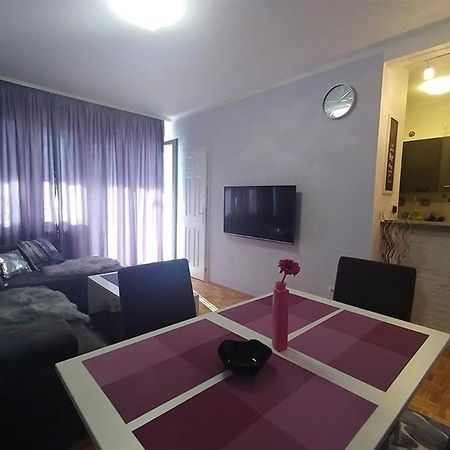 Cezar Apartment Belgrade Exterior photo